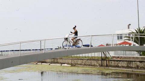 Il caldo porta le alghe e le meduse