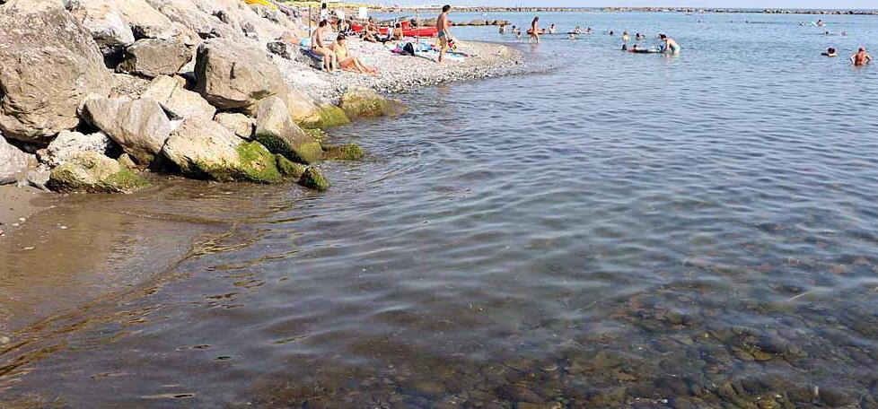 Rieccola: torna l’alga Ostreopsis Ovata 