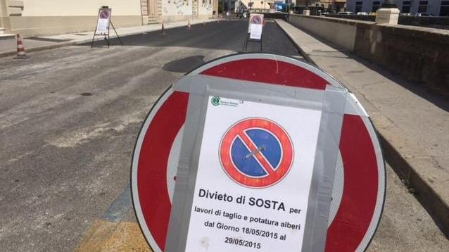 Divieto con errore sugli Scali: il cartello è per gli alberi, ma rifanno l’asfalto
