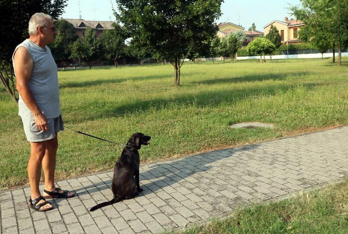 La cagnetta avvelenata nel parco di Ganaceto a Modena: i proprietari straziati faranno denuncia 