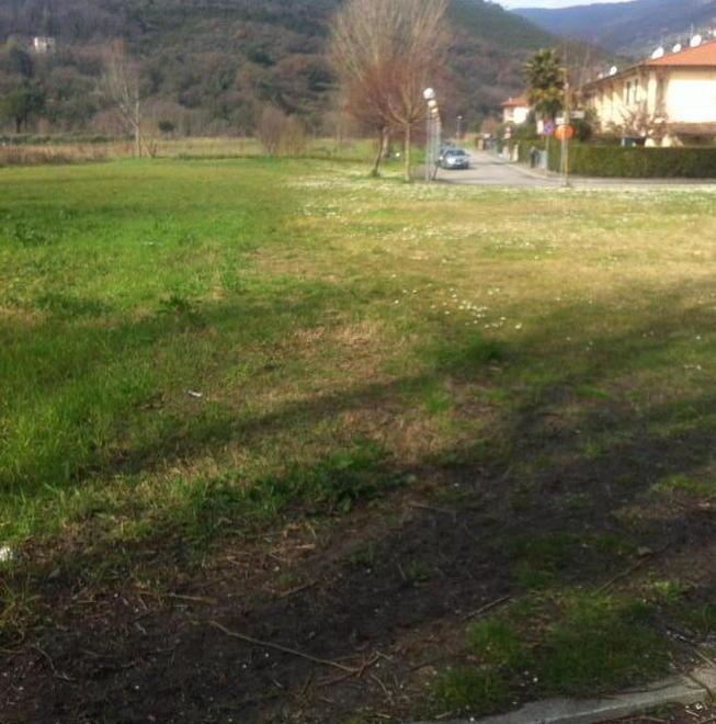 Taglio dell’erba gratuito ad un privato