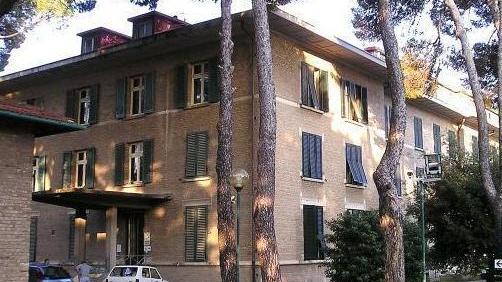 Assistenza, attive due postazioni