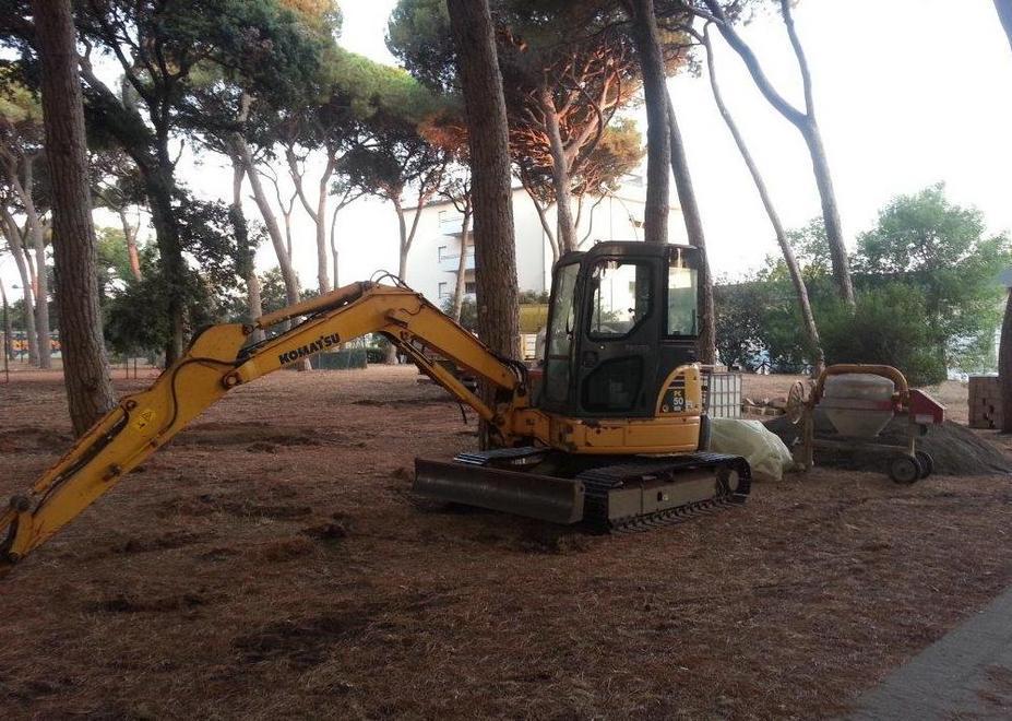 La pineta di ponente libera dal cantiere 