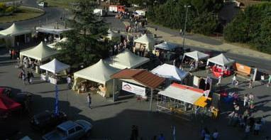 Cercansi volontari per salvare la sagra 