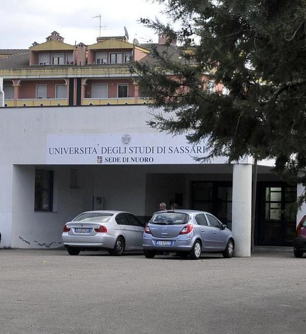 Cancello divelto da un cavallo, ferito un bambino