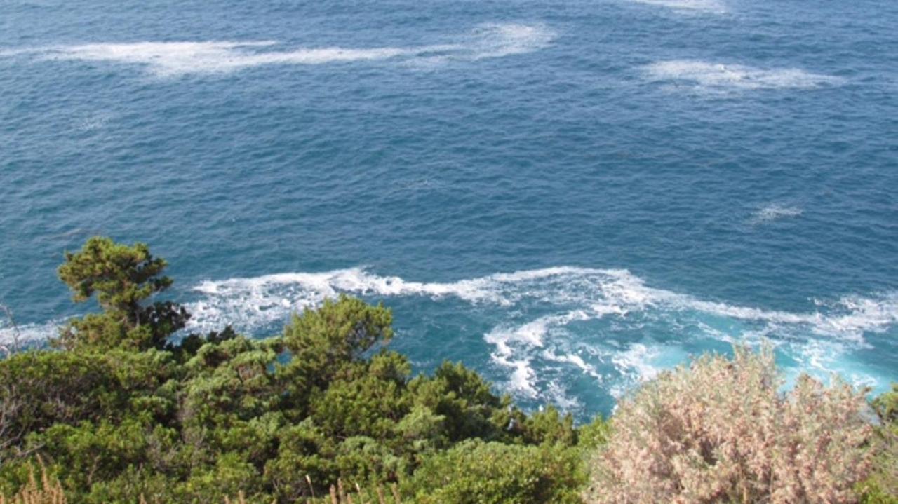 Striscia schiumosa in mare (Repetti Pentafoto)