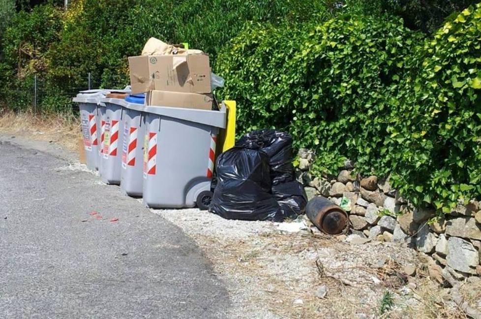 «Due settimane per rodare la raccolta porta a porta» 