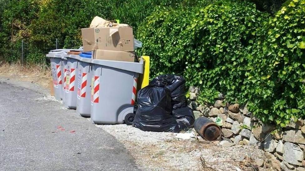 «Due settimane per rodare la raccolta porta a porta»