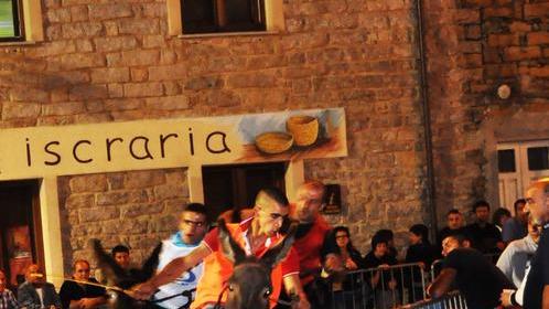 Palio degli asinelli, undici anni di emozioni