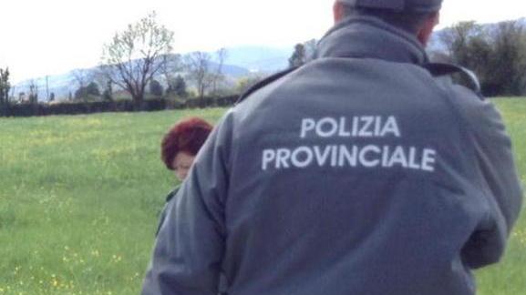 Polizia provinciale a rischio i timori degli ambientalisti
