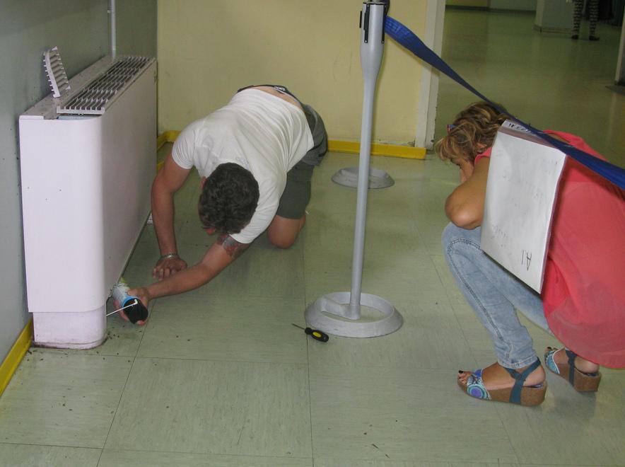 Invasione di formiche al Cup: ieri il via alla disinfestazione