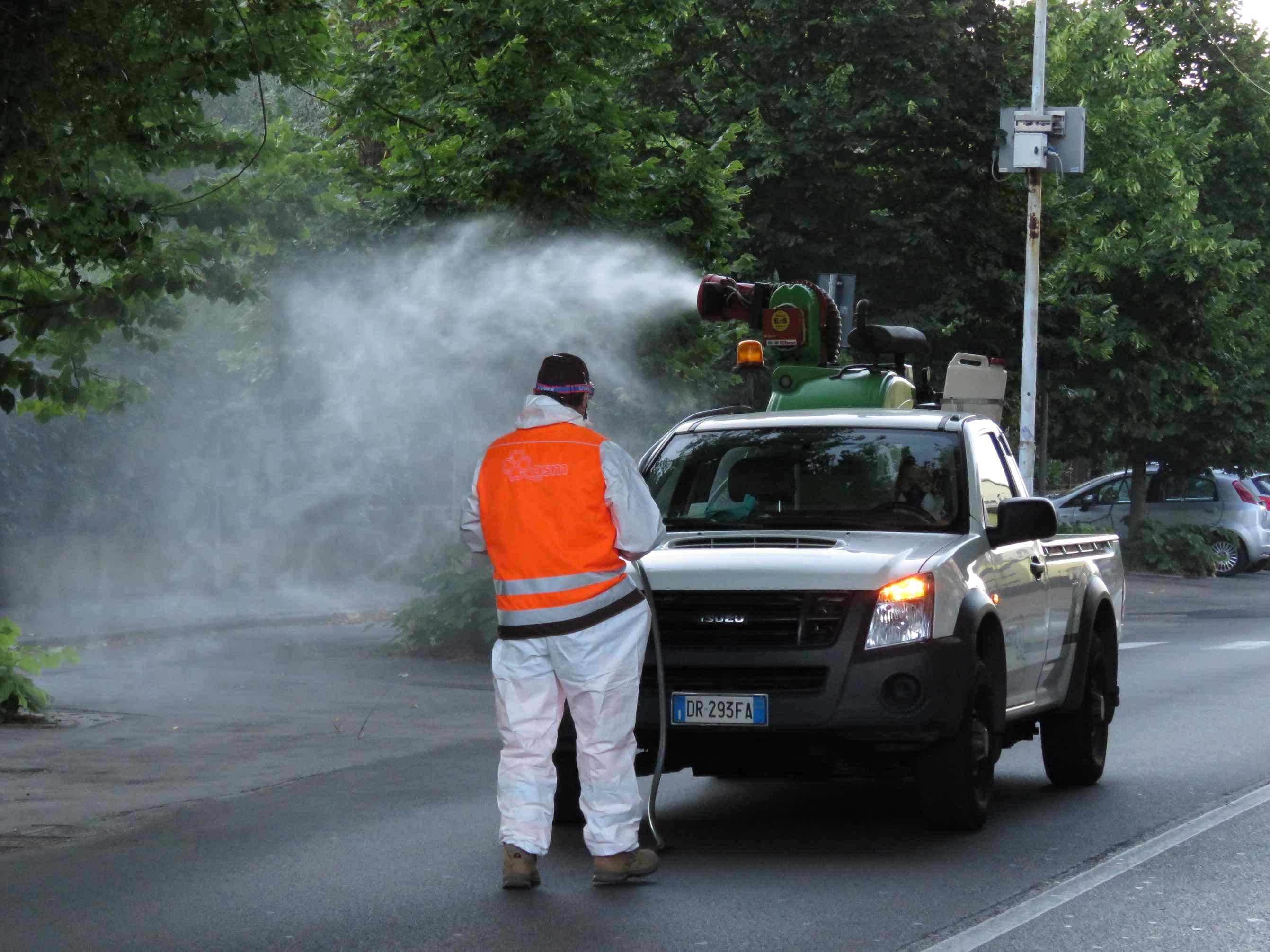Le operazioni di disinfestazione alla Pietà (foto Batavia)