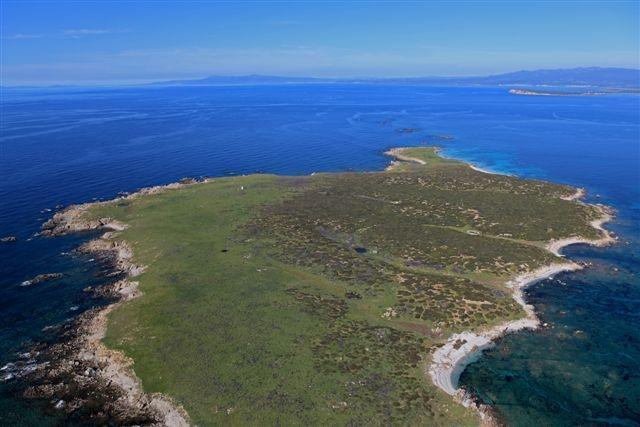 Una veduta aerea dell'isola di Mal di Ventre