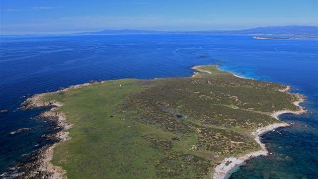 Una veduta aerea dell'isola di Mal di Ventre
