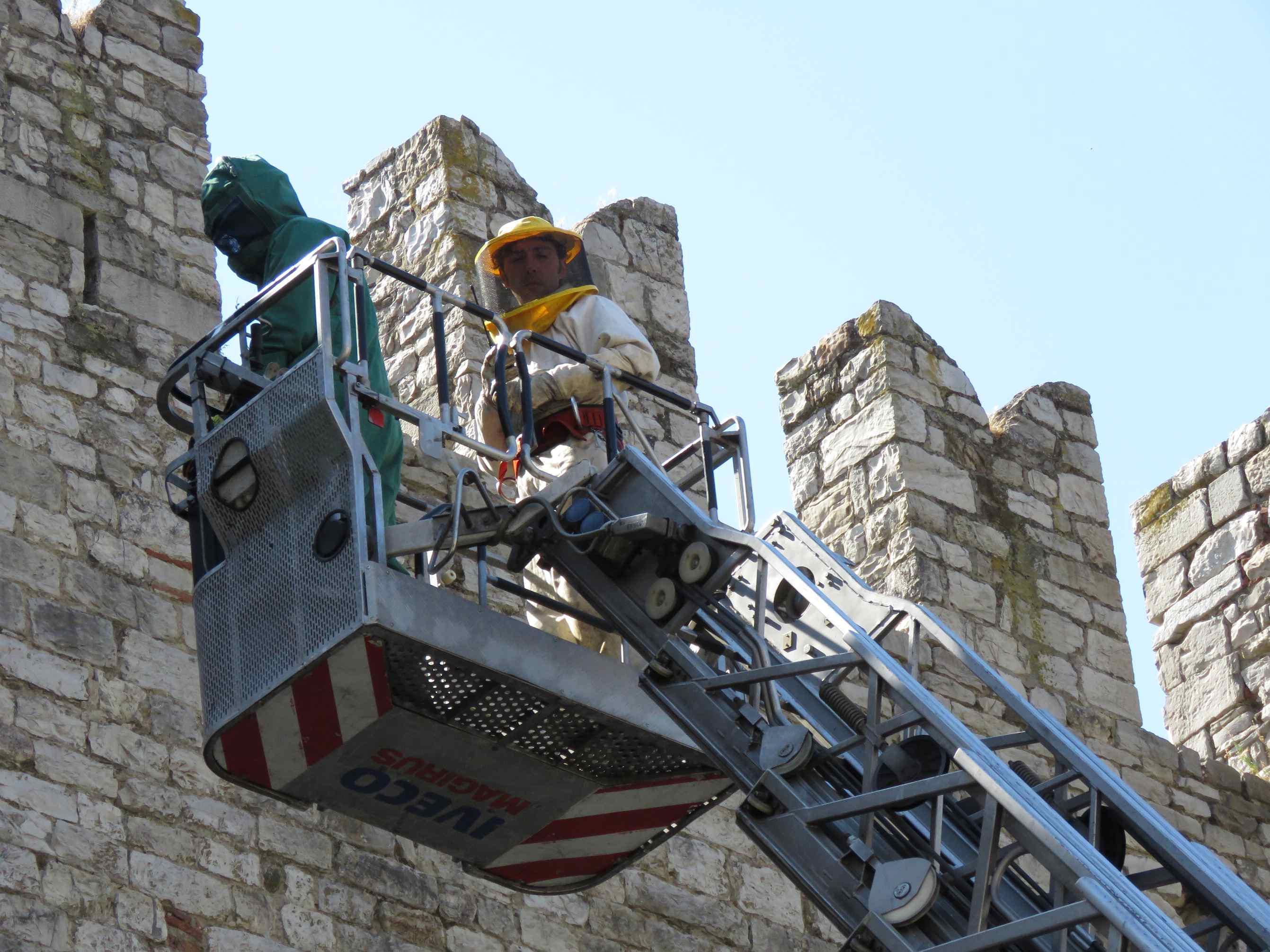 I vigili del fuoco con l'autogrù sul muro del Castello (foto Batavia)