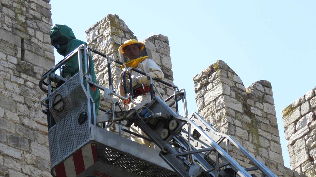 I vigili del fuoco con l'autogrù sul muro del Castello (foto Batavia)