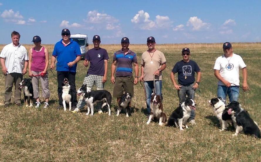 I cani da pastore di 14 nazioni in gara a settembre al quagliodromo