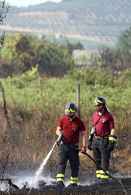 Incendio in un oliveto abbandonato sfiora una casa