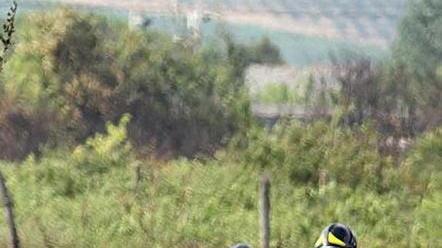Incendio in un oliveto abbandonato sfiora una casa