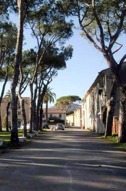 Giochi di bimbi in piazza per lottare contro la Sma 