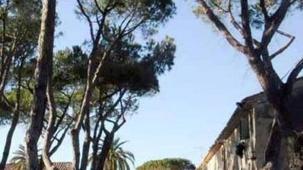 Giochi di bimbi in piazza per lottare contro la Sma