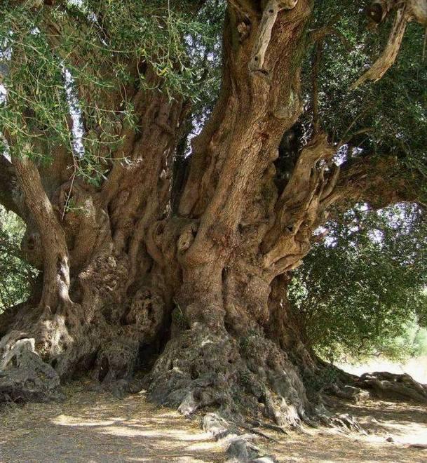 Viaggio in Sardegna con Paolo Zucca 