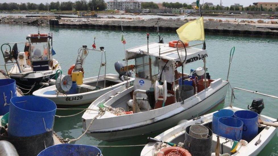 Trova le reti in mare tranciate la denuncia di un pescatore