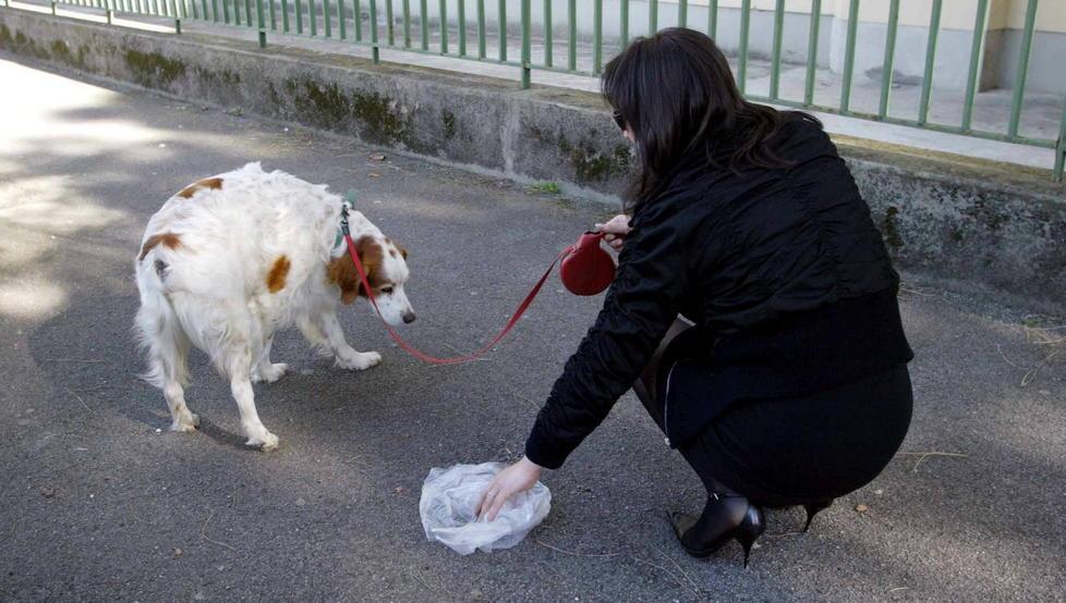 Multe da 50 a 200 euro se Fido sporca le strade 