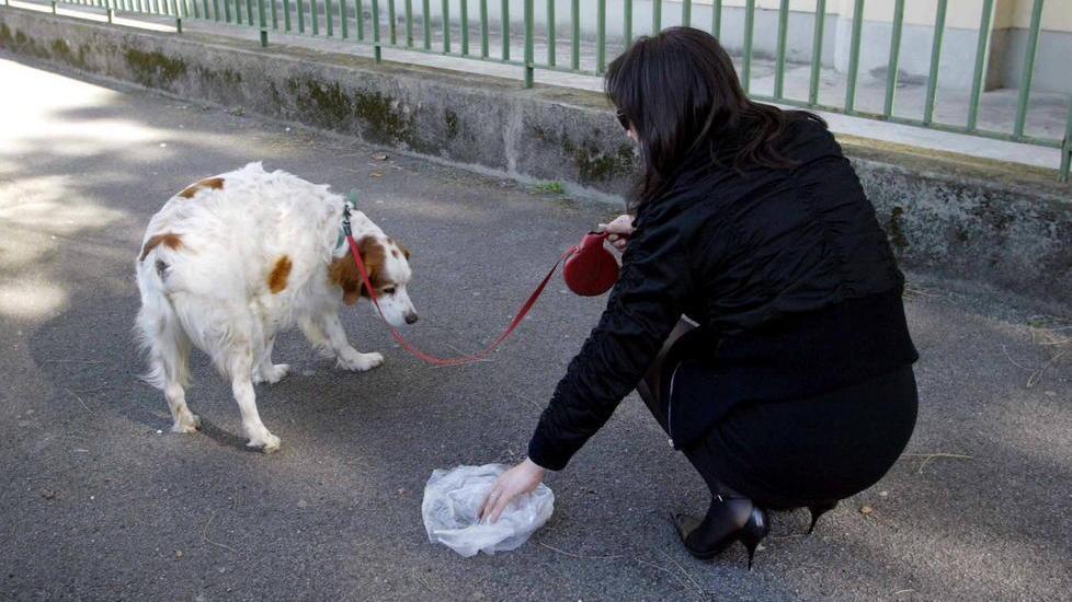 Multe da 50 a 200 euro se Fido sporca le strade