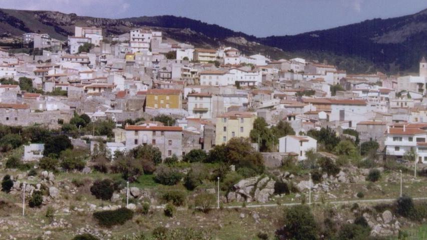 «Andiamo a casa, non siamo capaci»