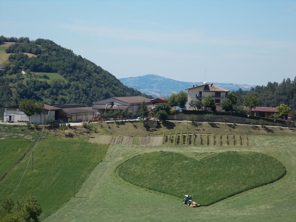 Il cuore realizzato sul fianco di una collina in Appennino