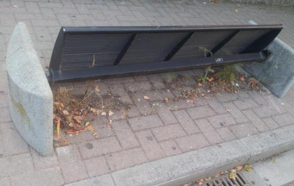 Degrado e rifiuti abbandonati nei parchi 
