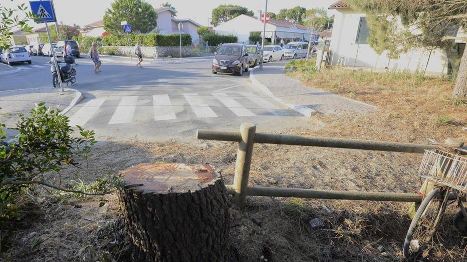 Pino cade su un’auto Fiamme vicino alle case
