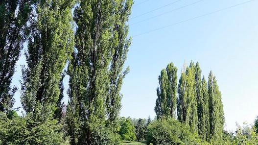«Basta polemiche e sistemiamo il parco»