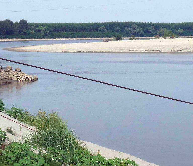 Ferrara, i 400 predatori del pesce stanno distruggendo il Po 