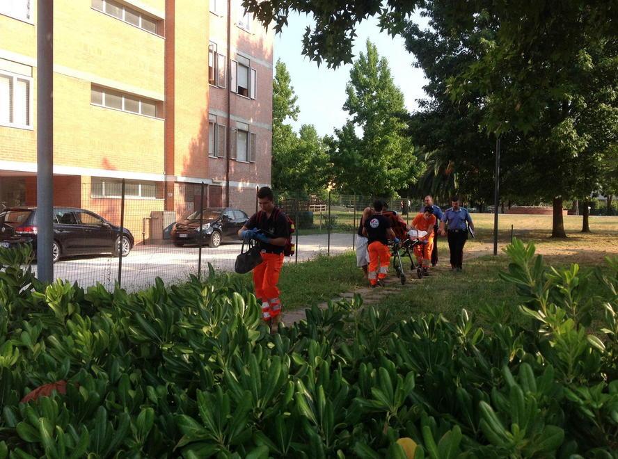 Donna in ospedale dopo le lite 
