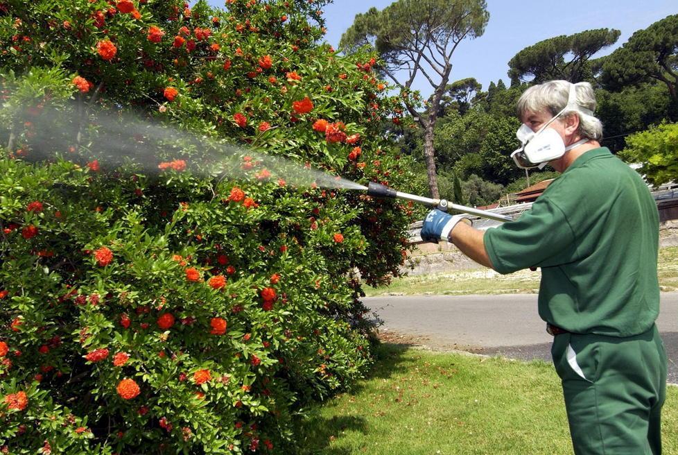 Disinfestazione a rilento zanzare tigre all’assalto 
