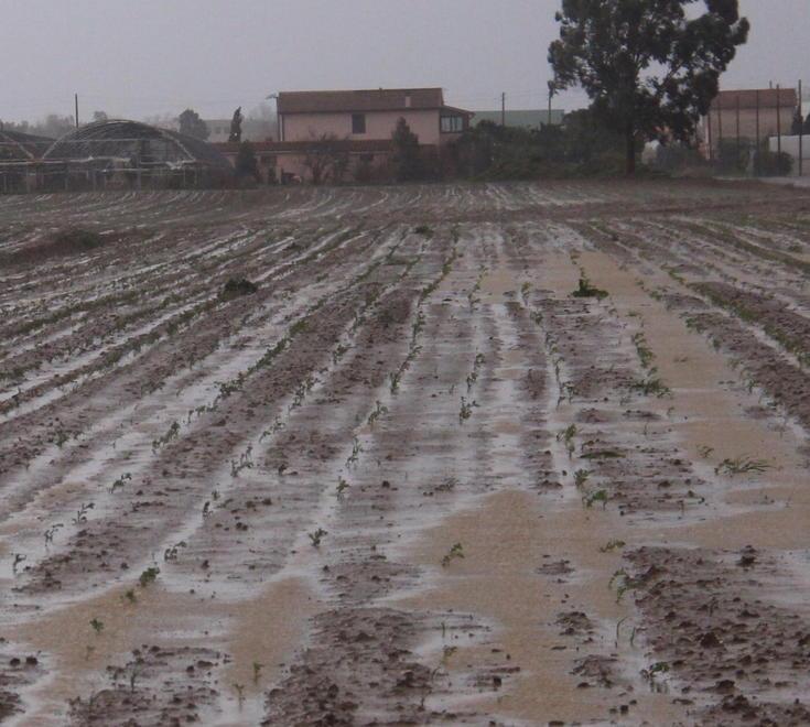 Alluvione, via libera ai rimborsi per le scorte 