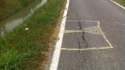 Le nutrie scavano buchi in un fosso a lato della strada