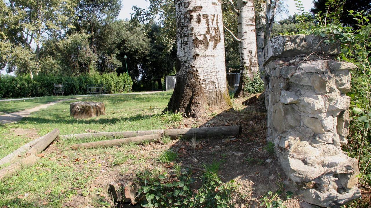 Il parco delle Cascine di Tavola