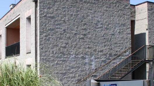 «Ho raccontato tutto ai miei capi, ora mi hanno allontanata»