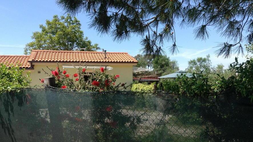 Chiesto il rinvio a giudizio per il geometra Restivo