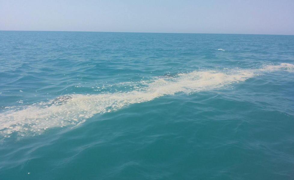 Chiazze in mare, decine di telefonate in Capitaneria 