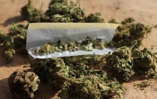 Cannabis legalizzata: la proposta divide i parlamentari di Modena