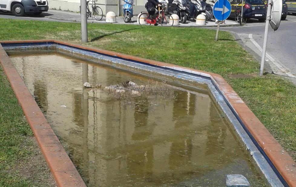 Rifiuti e acqua sporca Sos per la fontana di fronte alla Finanza