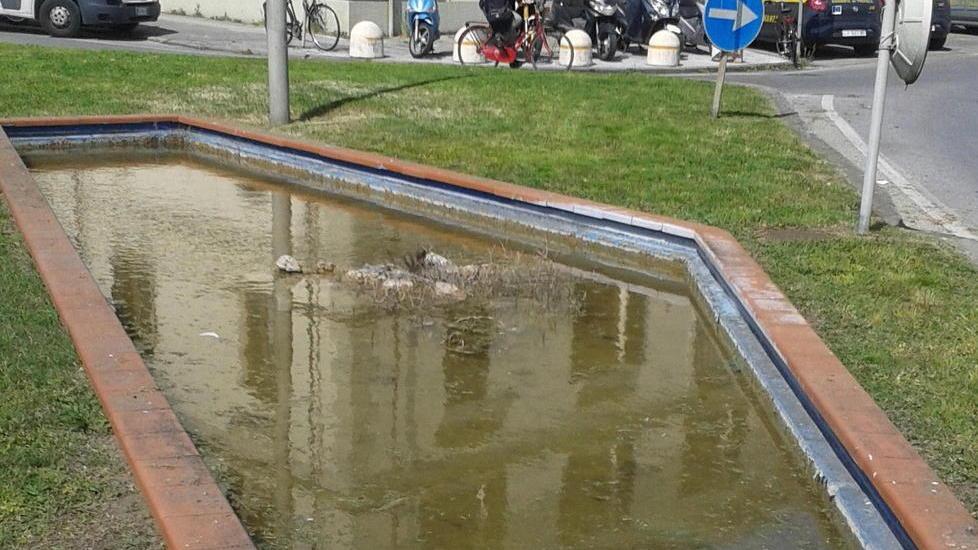 Rifiuti e acqua sporca Sos per la fontana di fronte alla Finanza