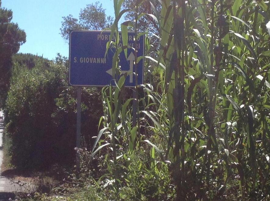 Erba alta in molte strade ora diventa un pericolo