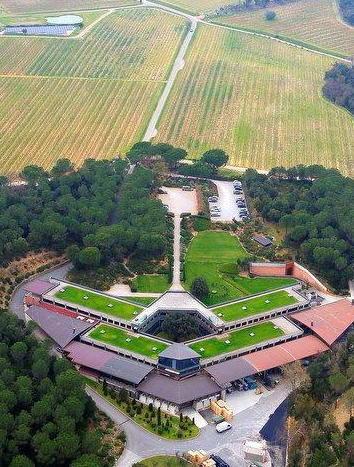 Ornellaia, a novembre il bianco 