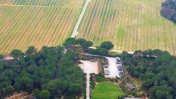 Ornellaia, a novembre il bianco