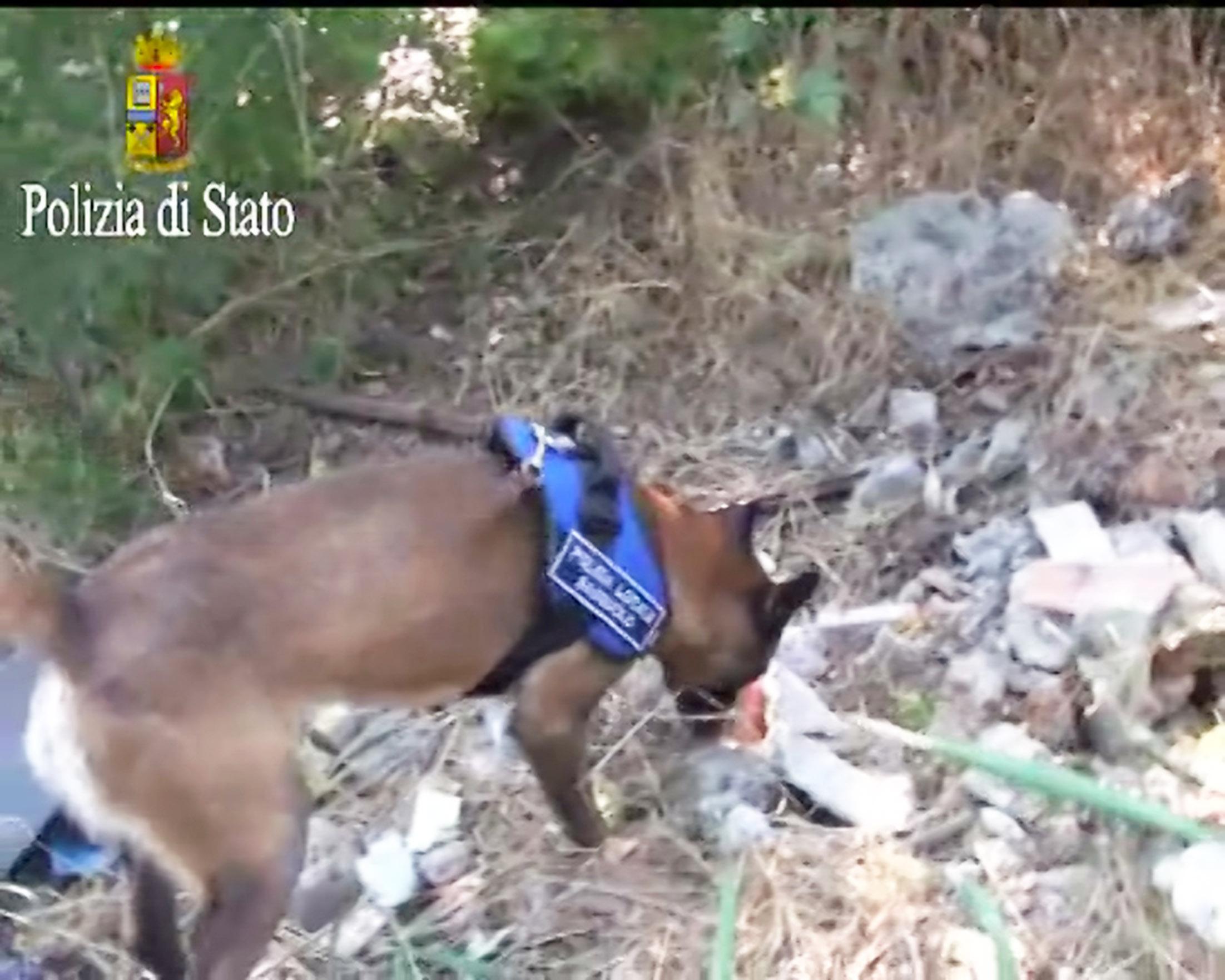 La polizia sequestra 14 chili di hascisc nei pressi di un santuario di Mirandola, due arresti 